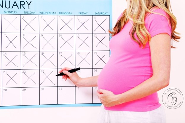 How to Calculate Gestational Age | Best OB-GYN Clinic in New Cairo – Dr. Mohamed Abdelghany