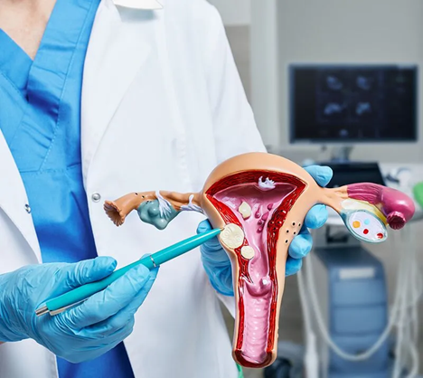 Vaginal Bleeding & Fibroids – Expert OBGYN Care in New Cairo | Dr. Mohamed Abdelghany