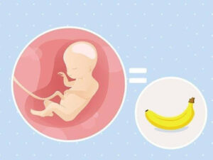 Week 20: The Most Important Appointment in Your Pregnancy