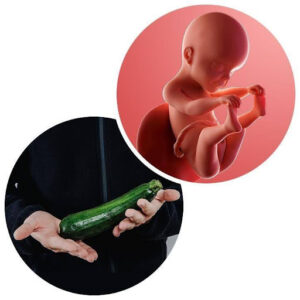 Week 25: Heartburn, Tiredness… and a Growing Baby 😅