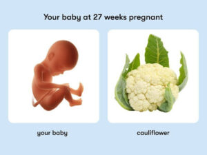 Week 27: Last Stop of Second Trimester… Are You Ready? 👀