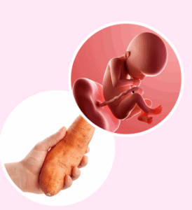 Week 22: Your Baby Is Growing Fast… What About You? 😍