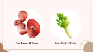 Week 32: Baby Might Be Head Down… Can You Tell? 👀