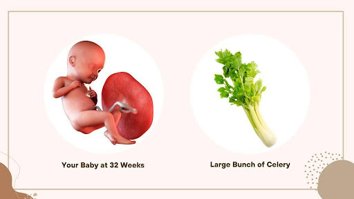 Week 32: Baby Might Be Head Down… Can You Tell? 👀