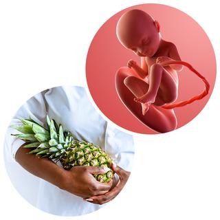 Week 33 Pregnancy: Baby Growth, Symptoms & What to Expect