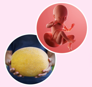 Week 34 of Pregnancy | Baby Brain Development & Third Trimester Symptoms