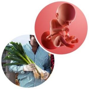 Week 37 of Pregnancy | Full Term Baby & Early Labour Signs