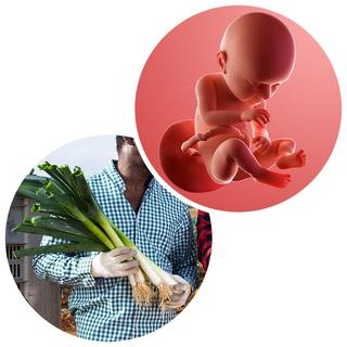 Week 37 of Pregnancy | Full Term Baby & Early Labour Signs