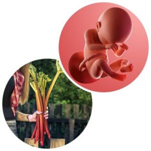 Week 38 of Pregnancy | Labour Symptoms, Baby Size & Delivery Preparation