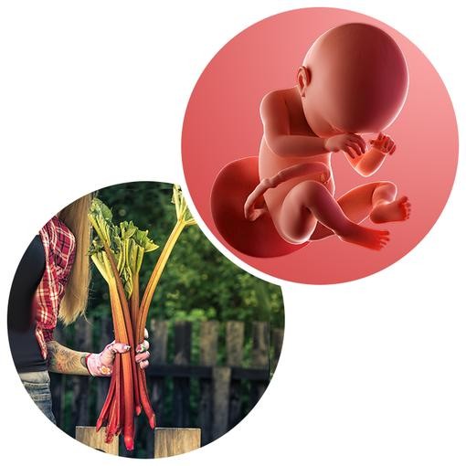 Week 38 of Pregnancy | Labour Symptoms, Baby Size & Delivery Preparation