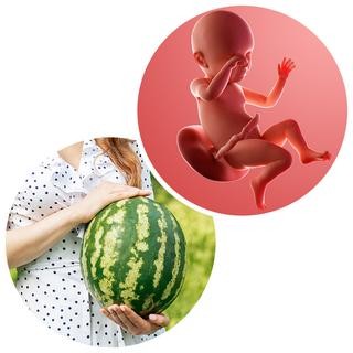 Week 39 of Pregnancy | Signs of Labour & Full Term Pregnancy Care