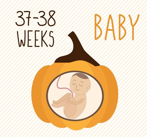 Week 40 of Pregnancy | Labour Starts Soon & Final Pregnancy Symptoms