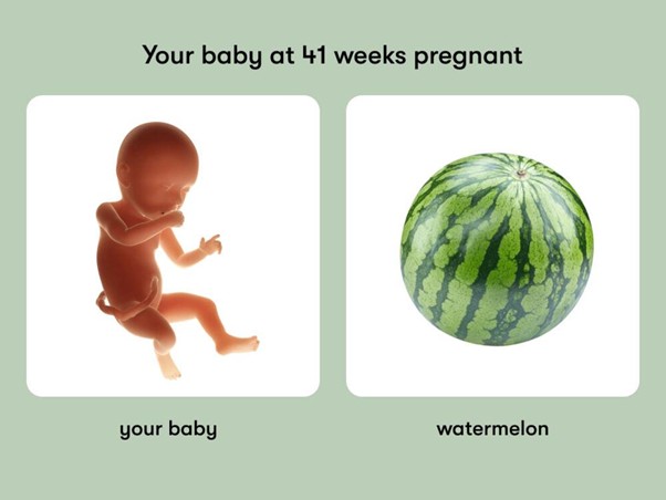 Week 41 of Pregnancy | Induction of Labour & Post-Dates Pregnancy